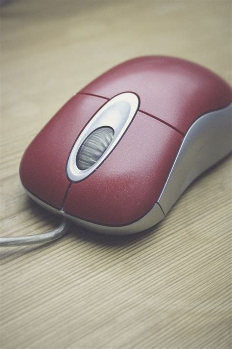 Mouse Computer Input · Free photo on Pixabay