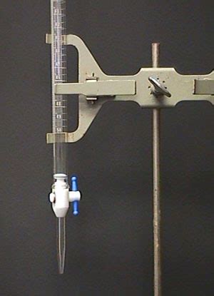 2. Clamp the buret in a buret clamp attached to a ringstand.