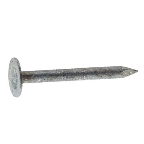 Grip-Rite #11 x 2 in. Electro-Galvanized Steel Roofing Nails (30 lb ...