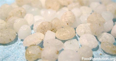 Microbeads Are Banned in Our Cosmetics, But Not Our Food