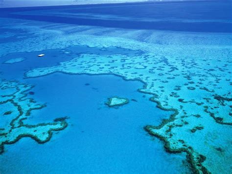 Aerial view of Heart Reef — Yacht Charter & Superyacht News