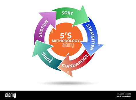 5S workplace organization method concept technique illustration Stock ...