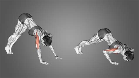 Pike Push-Ups: Benefits, Muscles Worked, and More - Inspire US