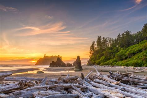 The Top 10 Olympic Peninsula Road Trip Stops | Select Registry