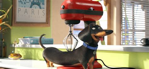 News & Views - The Secret Life of Pets 2 leads this week's new releases ...