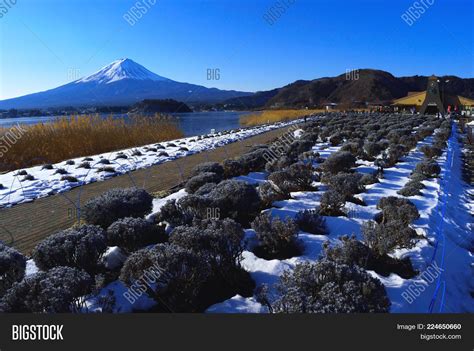 Mount Fuji Winter Image & Photo (Free Trial) | Bigstock