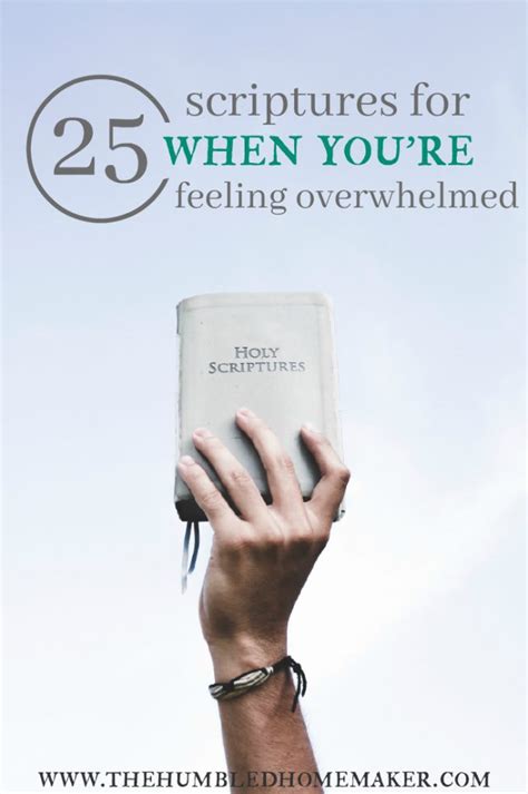 25 Scriptures For When You're Feeling Overwhelmed