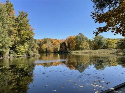 10 Best Hikes and Trails in Cincinnati Nature Center: Rowe Woods ...