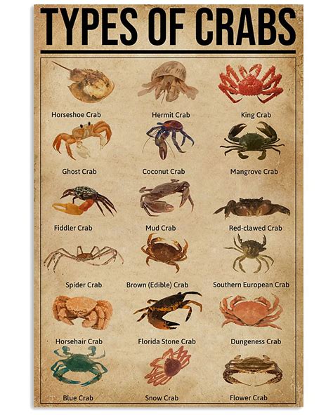 Types Of Crabs