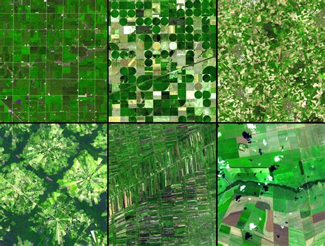 Agricultural Patterns - Green Photo (19783867) - Fanpop