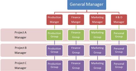 Project Analysis: Matrix Organization Structure