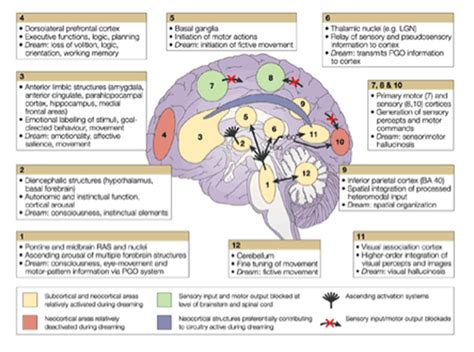 Picture | Speech language therapy, Speech language pathologists, Speech ...