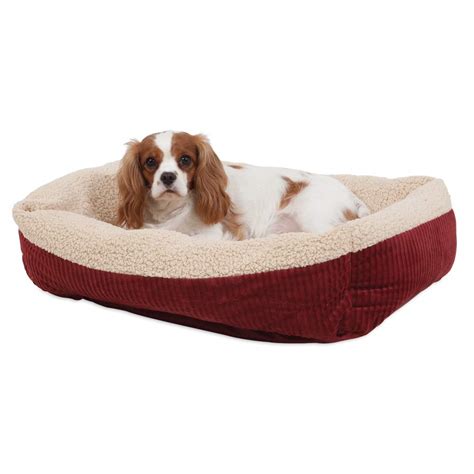 27 of the best heated dog beds (Options and Reviews) in 2020 - Animalso