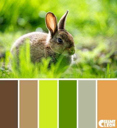 CHAMELEON. Color Palette. Colour Pallete, Color Combinations, Color ...