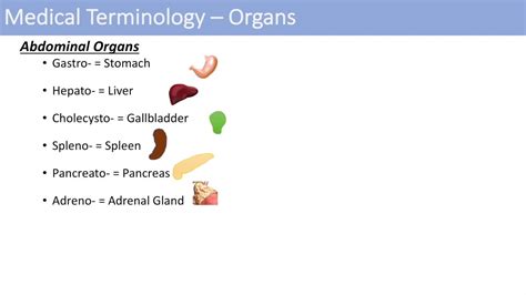 Paramedical Medical Term Definition