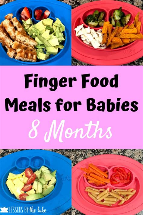 Baby Finger Food Meals 8 Months | Healthy baby food, Baby food recipes ...