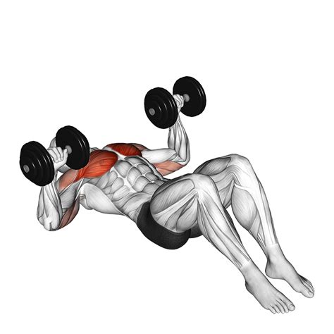 7 Best Dumbbell Bench Press Variations (With Pictures) - Inspire US