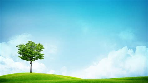 Grass Sky Wallpapers Group (77+)