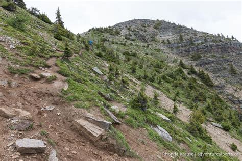 Devil's Thumb Trail via Lake Agnes and Big Beehive- Lake Louise