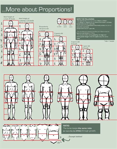 Proportions Guide by FOERVRAENGD.deviantart.com | Drawings, Figure ...