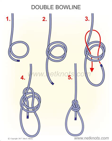 Double Bowline Knot animated and illustrated