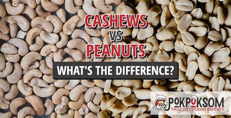 Cashews vs. Peanuts - What's the Difference?