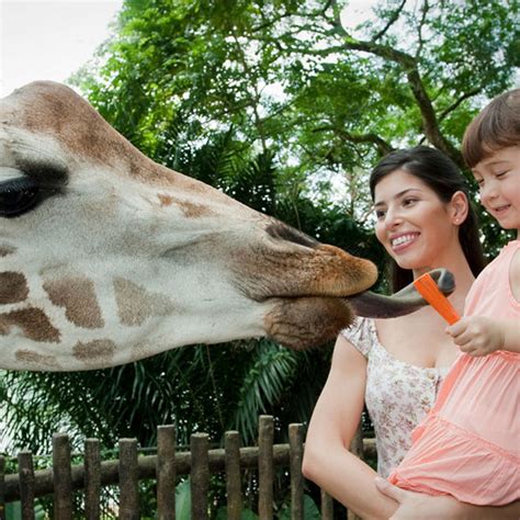 Singapore Zoo - Visit Singapore Official Site