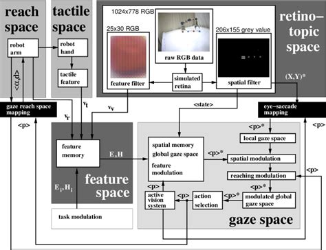 Computational architecture for active vision and visual guided reaching ...