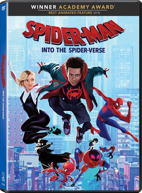 Spider-Man: Into the Spider-Verse (DVD) - Walmart.com