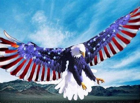 merica eagle Blank Template - Imgflip