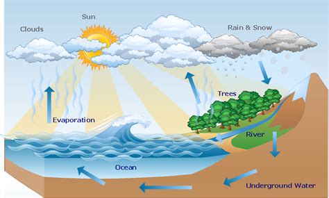 Water cycle diagram | Drawing Illustration‎ | Drawing a Nature Scene ...