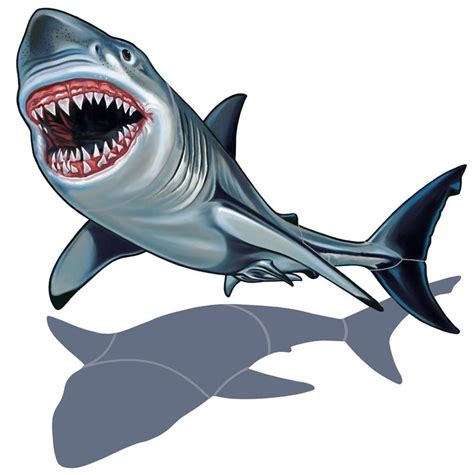 Free Great White Shark Cartoon, Download Free Great White Shark Cartoon ...