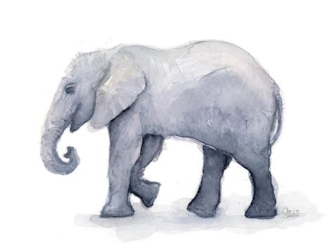 Elephant Watercolor Painting | ubicaciondepersonas.cdmx.gob.mx