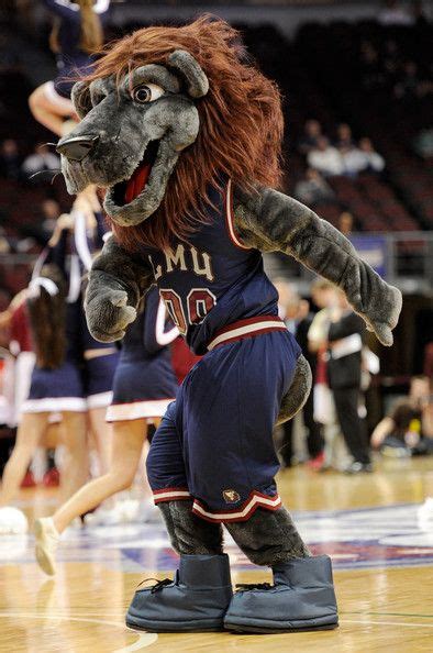 People - Photos | Loyola marymount university, San diego basketball, Mascot