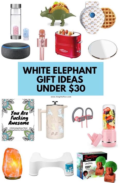 White Elephant Gift Ideas Under $30 - The Gift of Fun