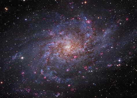 The Triangulum Galaxy, a spiral galaxy in the Local Group | Think ...