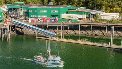 Juneau Cruise Port, Alaska: Overview and Guide