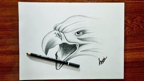 How to draw pencil Drawing of Eagle face | how to make Eagle face ...