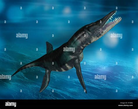 Liopleurodon prehistoric marine reptile, illustration Stock Photo ...