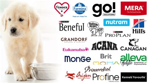 Top 20 Dog Food Brands, 47% OFF | www.elevate.in