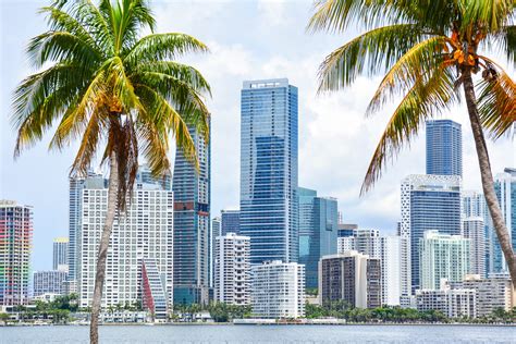 Downtown Miami skyline along waterfront seen through palm tress | Concordia