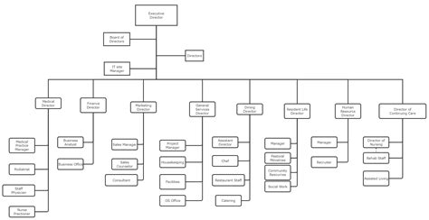 Hospital Nursing Organizational Chart