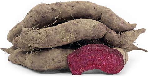 Purple Japanese Sweet Potatoes Information and Facts