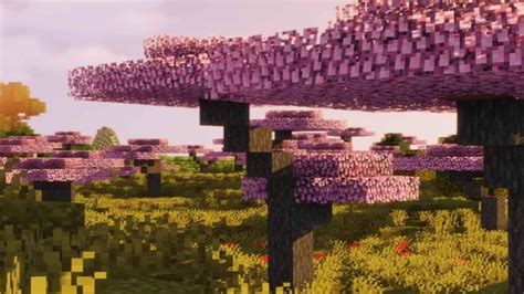 How to get Cherry trees in Minecraft