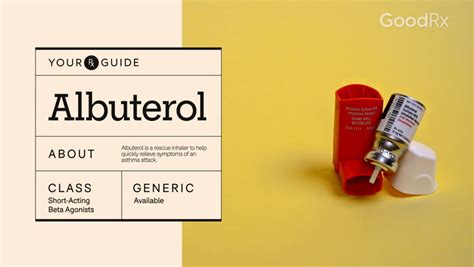 Albuterol: How It Works, How to Take It, and Side Effects - GoodRx