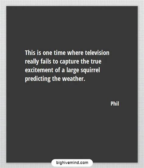 From Bill Murray To Ned Ryerson - The Funniest Groundhog Day Quotes ...