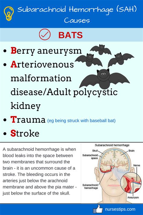 TAHBSO | Subarachnoid hemorrhage, Medical surgical nursing, Hemorrhage ...