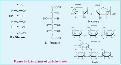 Carbohydrates - Structure, Configuration, Classification | Biomolecules ...