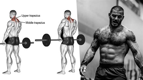 How to Build Huge, Strong Traps with the Barbell Shrug (Benefits ...