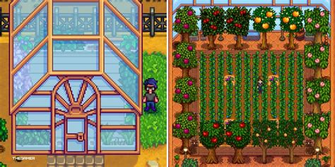 Stardew Valley: A Complete Guide To The Greenhouse